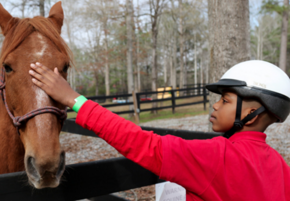 RETIRED COMMAND SGT. MAJ. HELPS OTHERS FIND PEACE THROUGH HORSES