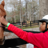 RETIRED COMMAND SGT. MAJ. HELPS OTHERS FIND PEACE THROUGH HORSES