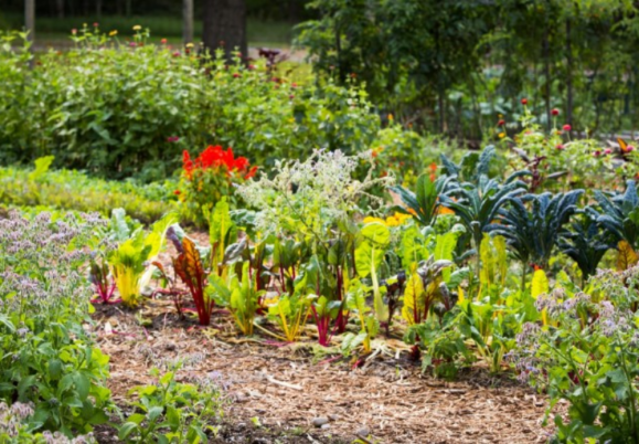 Farm-to-hotel: 10 resorts that grow their own food