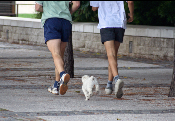 Jogging for 30 minutes per day could slow cellular aging by 9 years