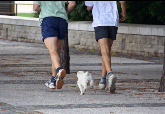 Jogging for 30 minutes per day could slow...