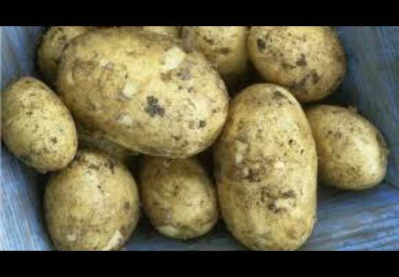 Are potatoes healthy?