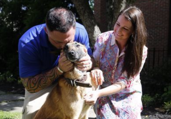 Pet Scoop: Emotional Reunion for Airman and K9, Salma Hayek Pays Tribute to Her Dog Blue