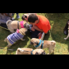 Teen with autism has 100 4-legged guests at pug birthday party