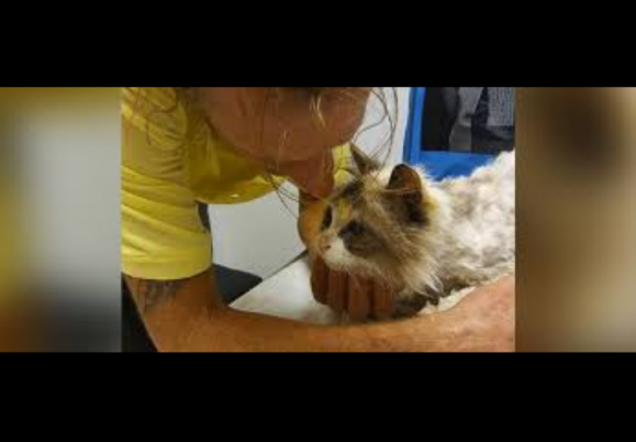 Emotional reunion for man and his lost...