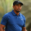 Tiger Woods found asleep in car at time of arrest; no alcohol found in breath test