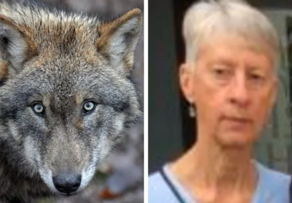 British tourist mauled to death in Greece by rabid wolves not stray dogs, coroner believes