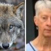 British tourist mauled to death in Greece by rabid wolves not stray dogs, coroner believes